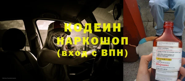 прущие грибы Бутурлиновка
