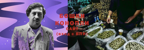 PSILOCYBIN Армянск
