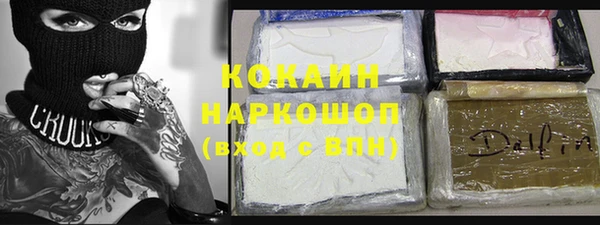твердый Арсеньев